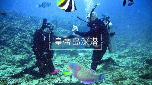 国内仿制药能够上市，进口药的退市是必然的吗？游戏画面